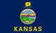 Kansas state flag