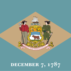 Delaware State Flag