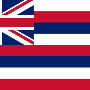 Hawaii State Flag