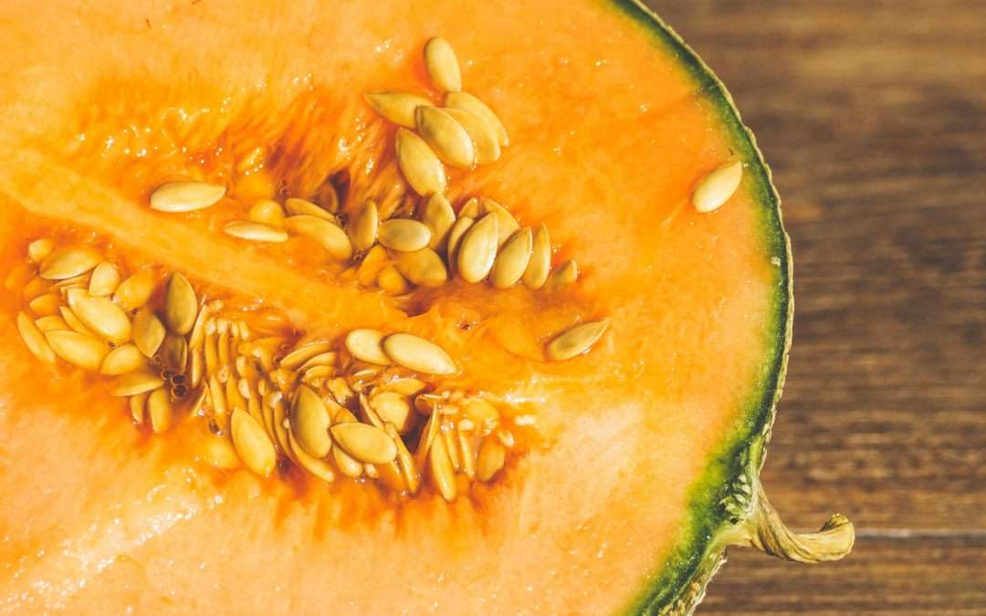 Case Study: The 2011 Listeria Outbreak Linked to Cantaloupes