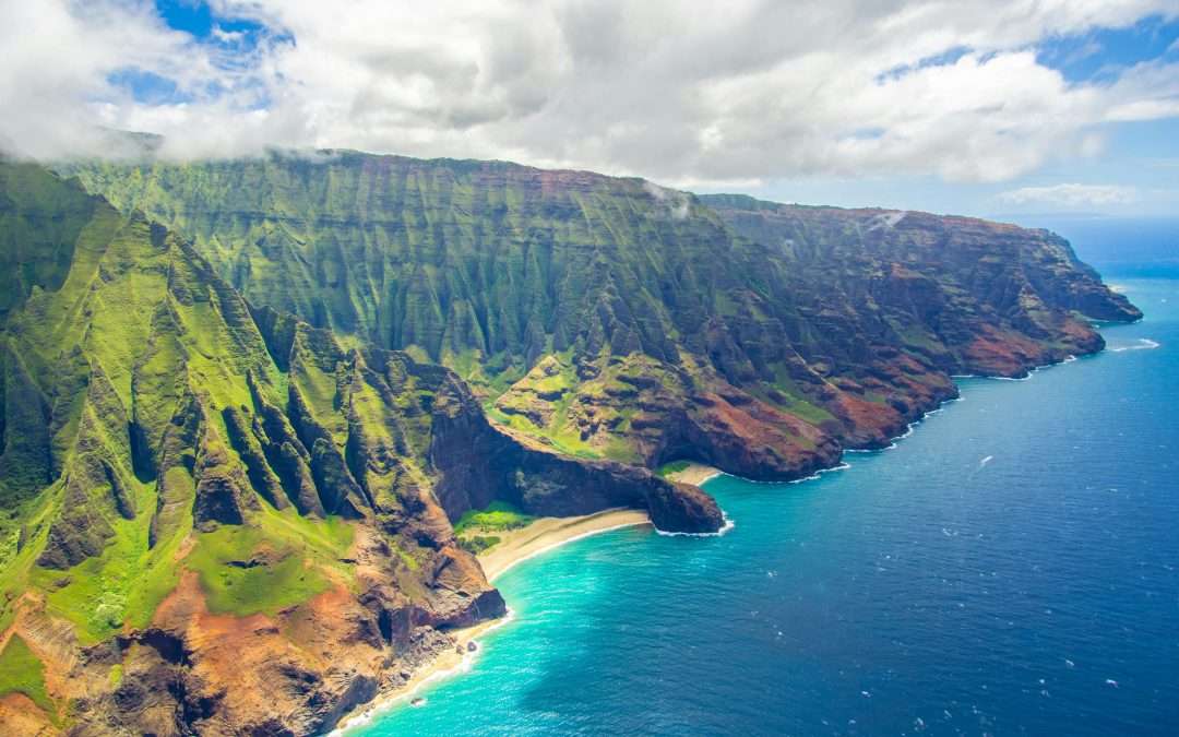 How to Get a Food Handler Card in Hawaii: A Step-by-Step Guide