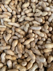 Pca Salmonella Outbreak Of 2008: A Case Study