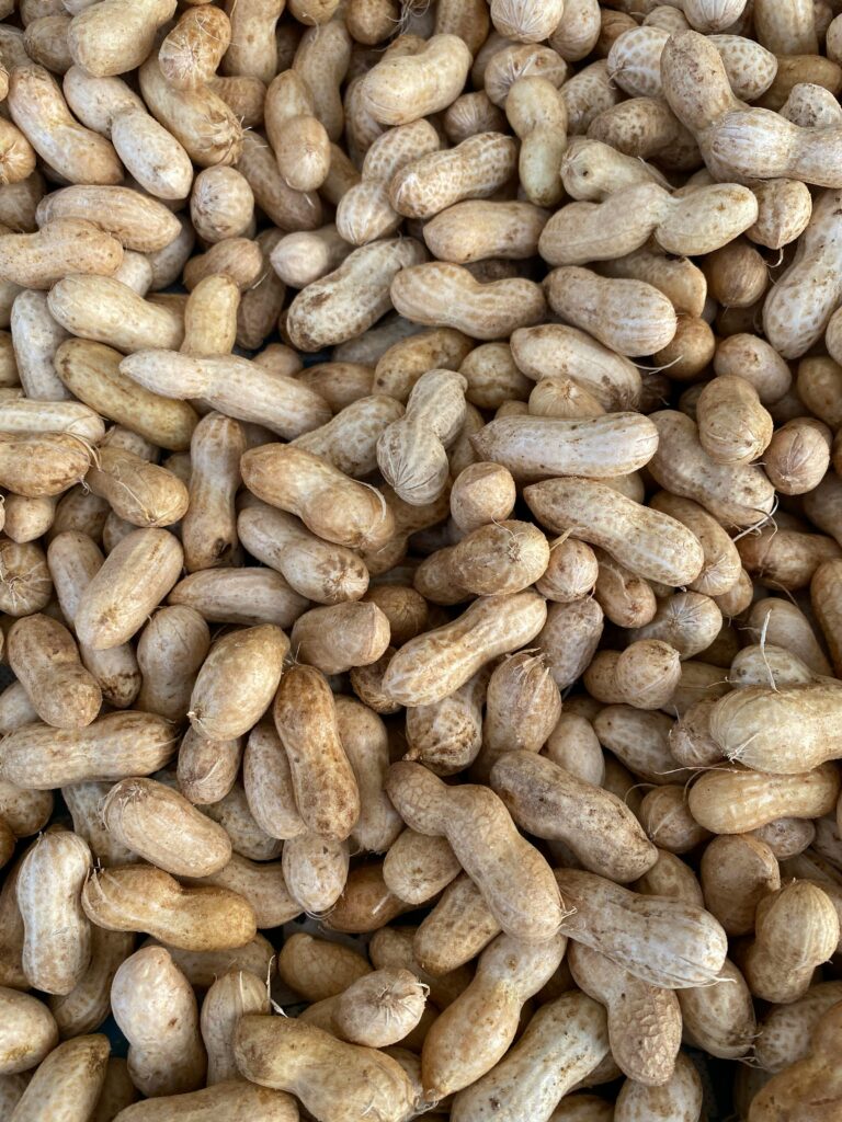 Pca Salmonella Outbreak